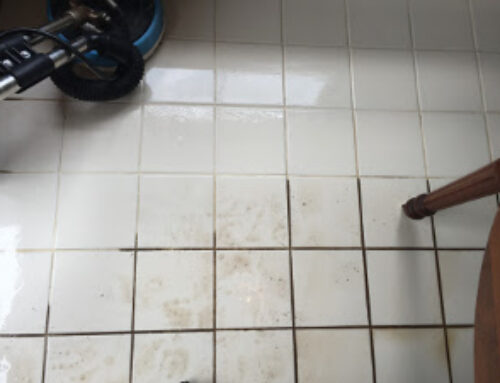 The Science of Tile Grout Cleaning