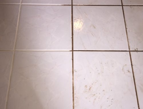 Grout Restoration vs. Replacement: What Denton Homeowners Should Know