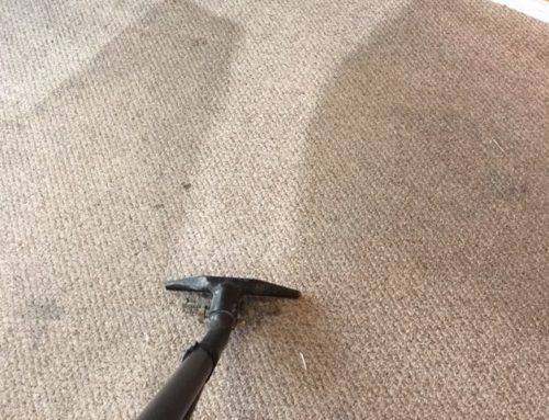 How Often Should You Clean Your Carpets in Denton, TX?