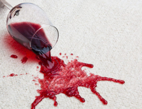 The Science of Carpet Stains: Why DIY Methods Fall Short