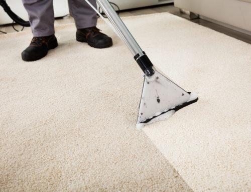 The Science Behind Steam Cleaning: Why It’s Best for Denton Carpets
