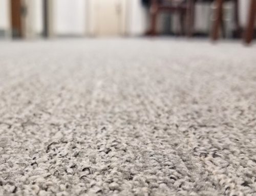 Denton’s Ultimate Guide to Extending Carpet Life: Tips from Quality Care Experts