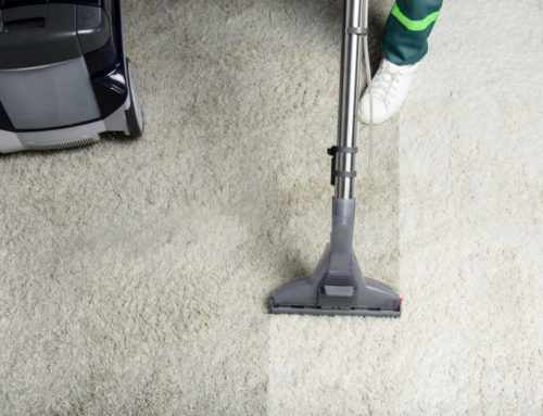 Expert Carpet Cleaning Tips from Denton’s Quality Care Carpet Cleaners