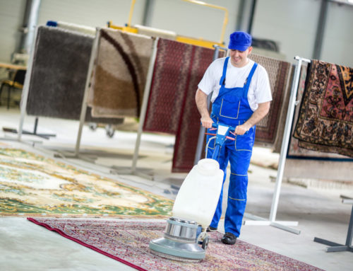 5 Carpet Cleaning Tips Every Homeowner Should Know
