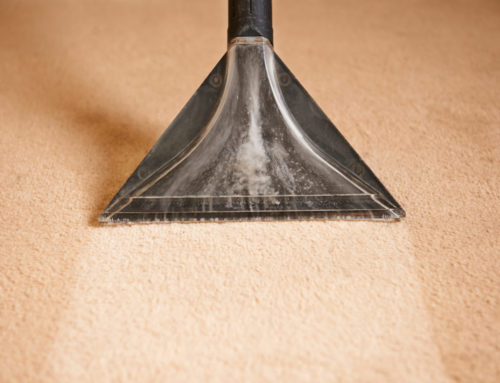 5 Reasons to Hire Professional Carpet Cleaners for Your Home