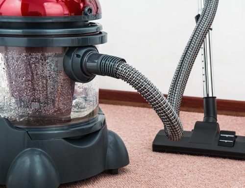 Spring Allergies in Denton TX: How Professional Carpet Cleaning Helps