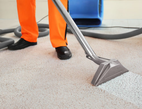 Top 5 Benefits of Steam Cleaning a Carpet