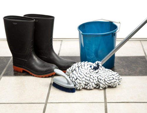 The Do’s and Don’ts of Grout Cleaning
