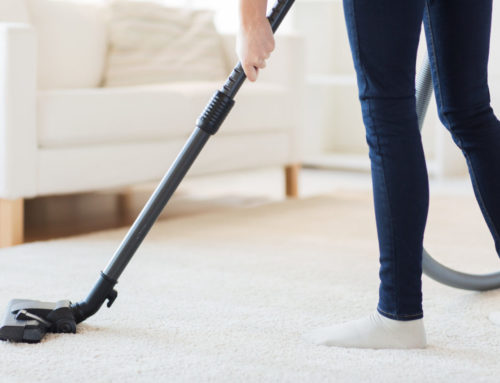 How to Choose the Best Rug Cleaning Services