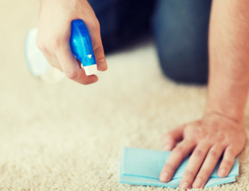 5 Difficult Carpet Stains and How To Remove Them