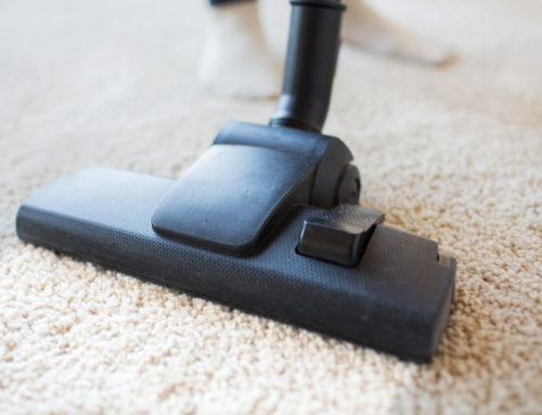 Why You Should Invest in Professional Carpet Cleaning for the Office