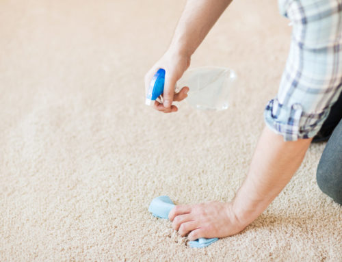 5 Carpet Maintenance Tips That All Homeowners Should Know