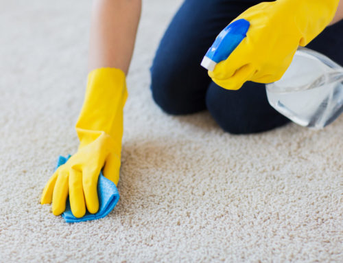 How Professional Carpet Cleaning Can Keep Your Office Smelling Fresh