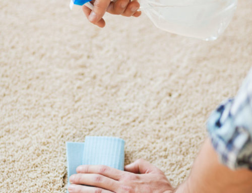 How Can You Remove Coffee Stains From Carpet?