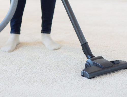 The Benefits of Hiring Professional Carpet Cleaners for Your Office