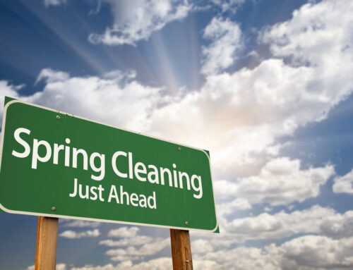 Spring Clean Your Carpets for a Fresh & Happy Home!