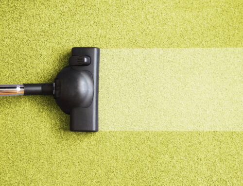 Unleashing the Power of Clean: An Epic Guide to the Different Types of Carpet Cleaning Equipment and Their Uses