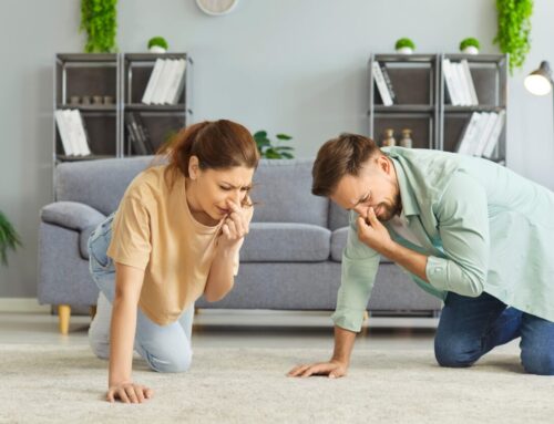 How Dirty Carpets Affect Indoor Air Quality in Denton Homes