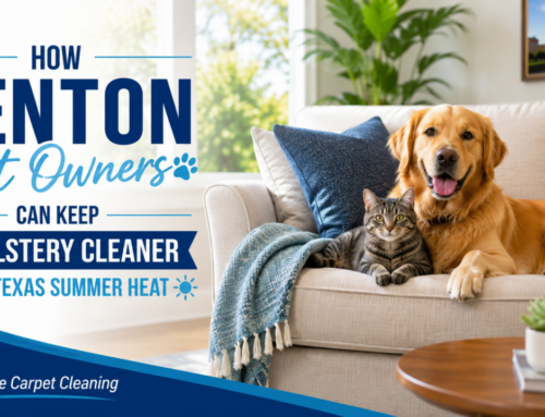 How Denton Pet Owners Can Keep Upholstery Cleaner During Texas Summer Heat